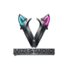 Vizi Studio